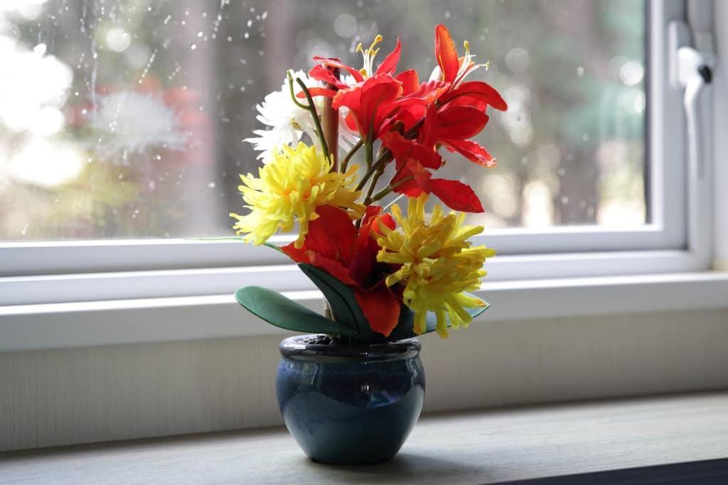 Vakantiehuis - Seton Sands-cameo Caravan-pet Friendly